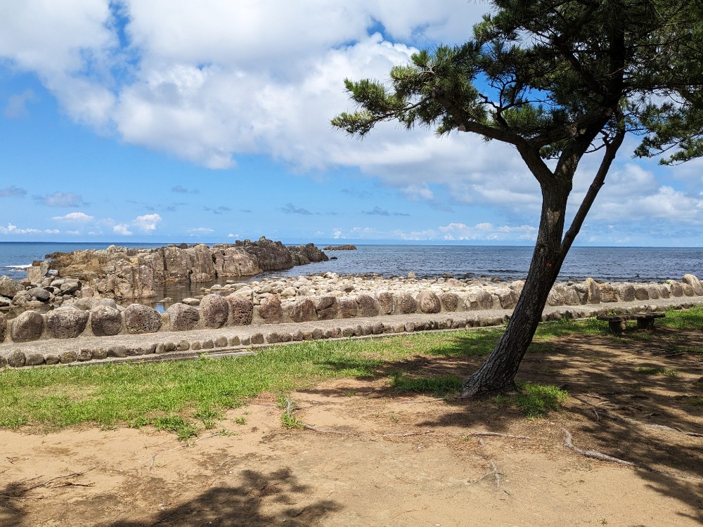 鮎川園地キャンプ場(福井県福井市)