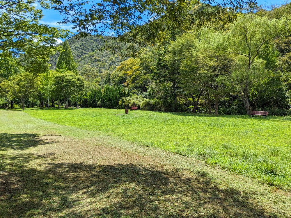 古法華自然公園キャンプ場のテントサイト