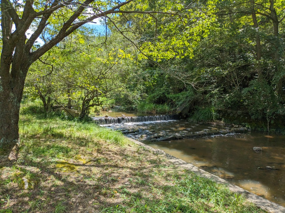 古法華自然公園キャンプ場の横に流れる川