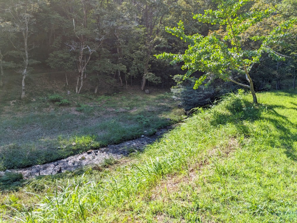 木谷山キャンプ場の横に流れる川