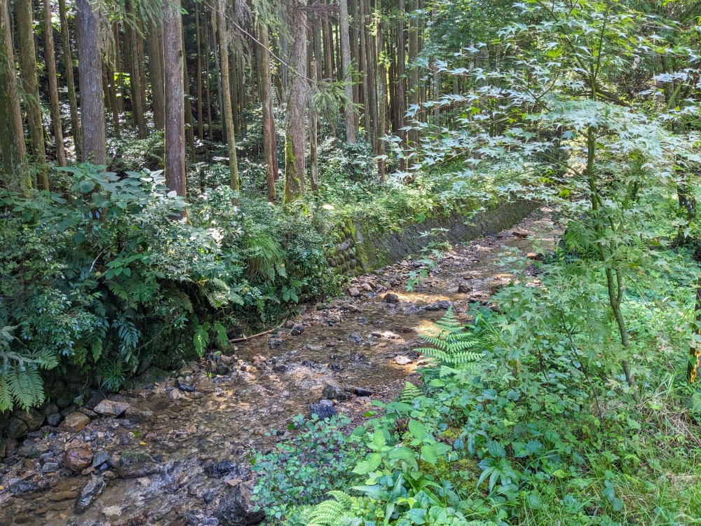 安毛オートキャンプ場の前を流れる川