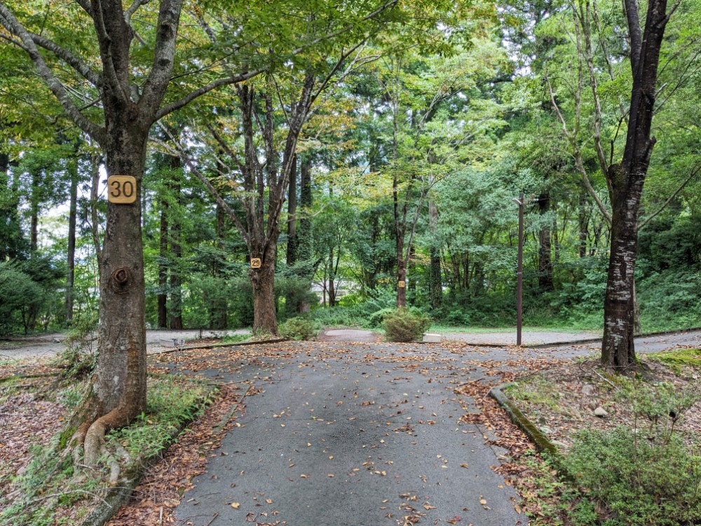 郡上八幡リバーウッドオートキャンプ場(岐阜県郡上市)の区画サイト