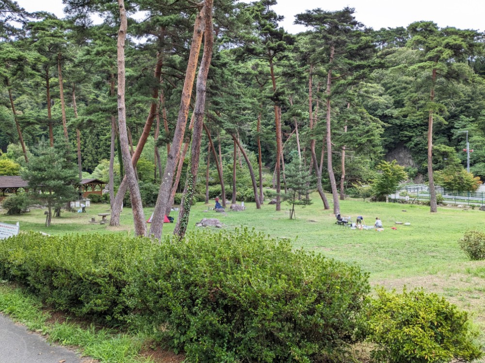 妙琴公園キャンプ場(長野県飯田市)の全景