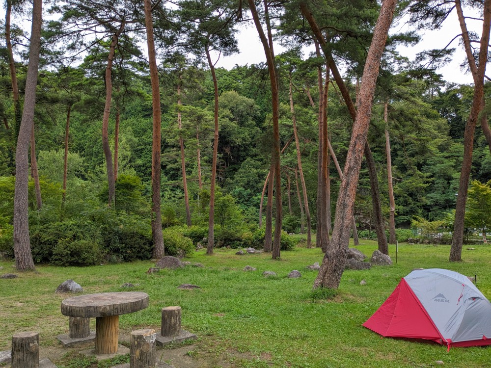 妙琴公園キャンプ場の入口側フリーサイト