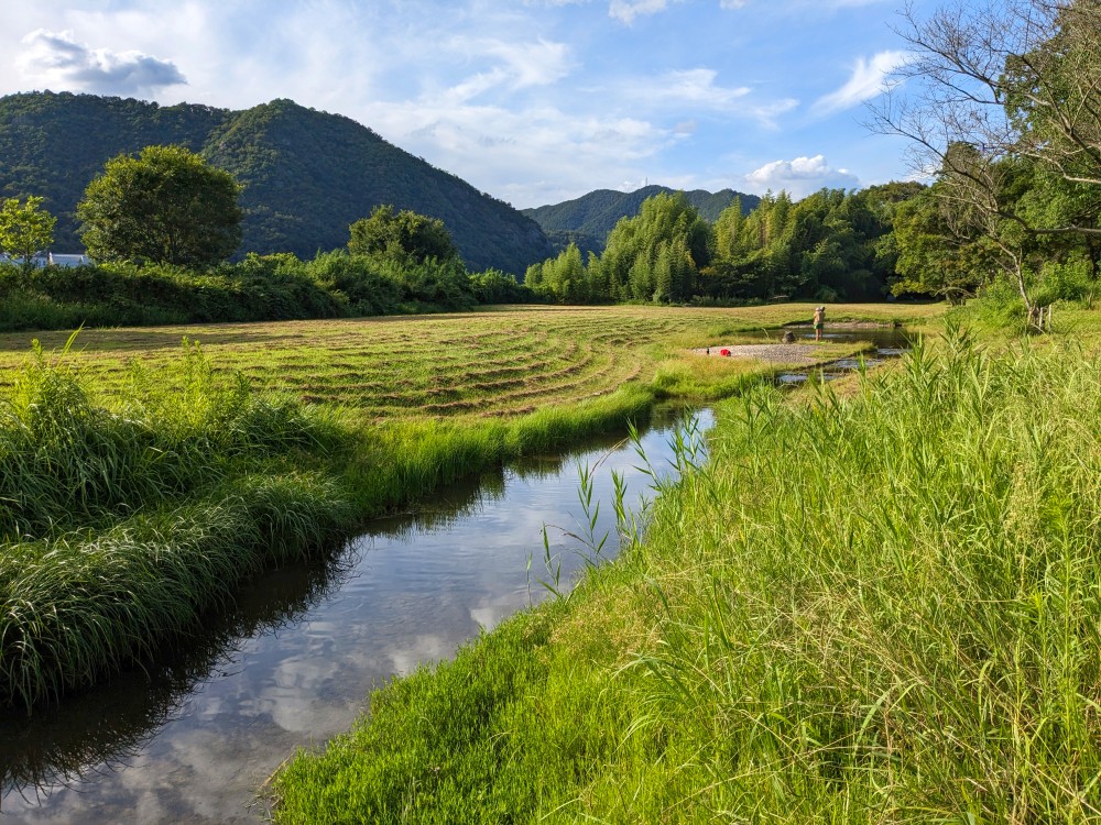 桃太郎公園キャンプ場(栗栖園地)内の池