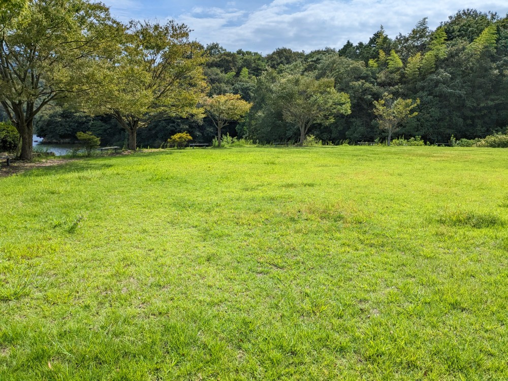 大内ダム公園の奥側フリーサイト