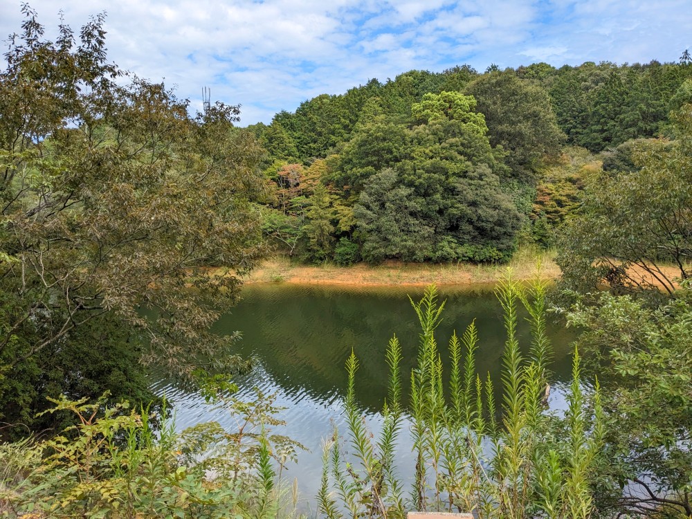 みろく自然公園の弥勒池