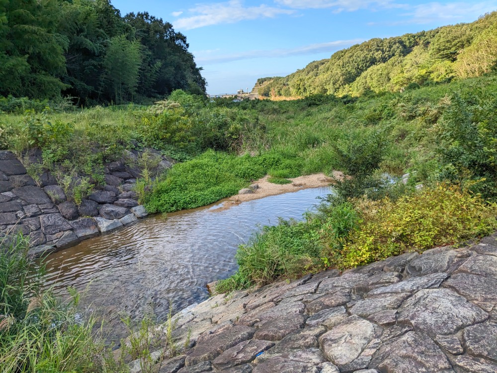 門入の郷の水辺の公園に流れる小川