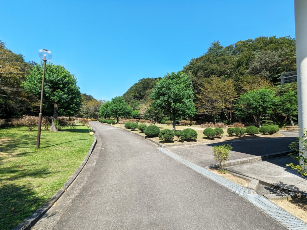 森と湖畔の公園オートキャンプ場(愛媛県四国中央市)のオートサイト