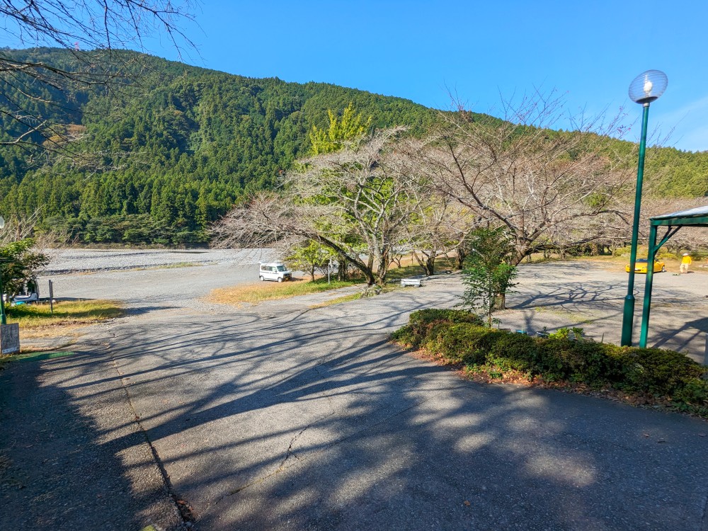 秋葉神社前キャンプ場の全景