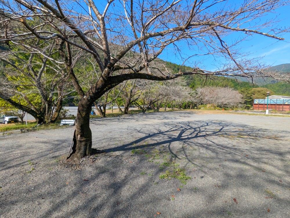 秋葉神社前キャンプ場の洗い場前サイト