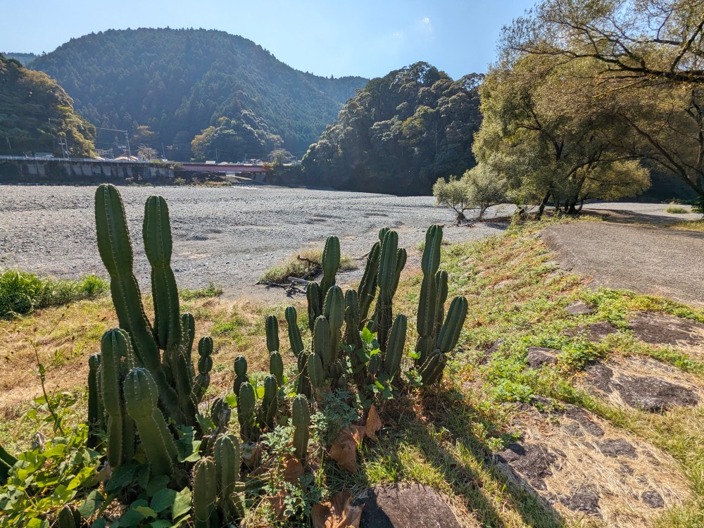 明野キャンプ場からの景観