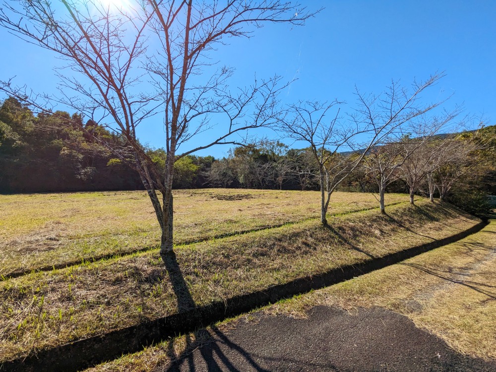 青鹿自然公園キャンプ場の下段フリーサイト