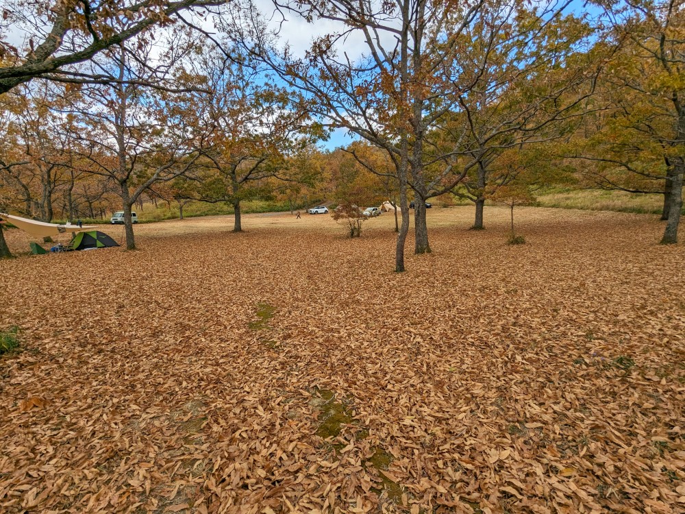 茶屋の原キャンプ場のおとら通りエリア