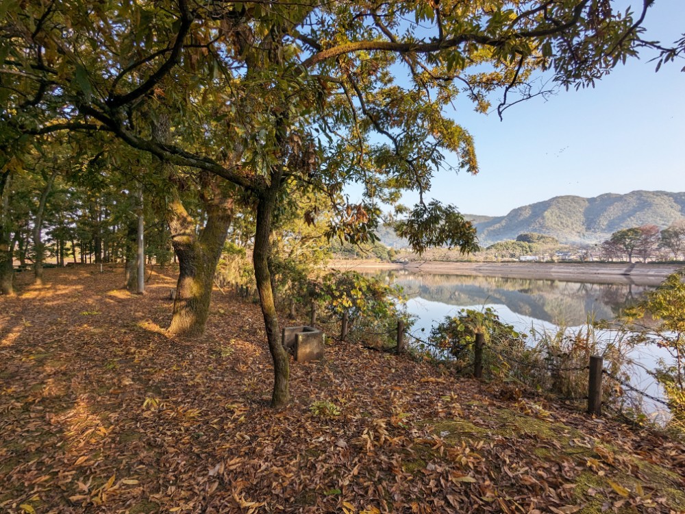 立岡自然公園キャンプ場(熊本県宇土市)池側フリーサイト