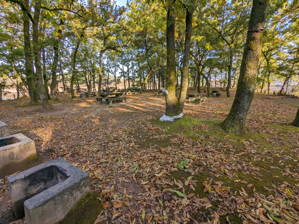 立岡自然公園キャンプ場の釜土