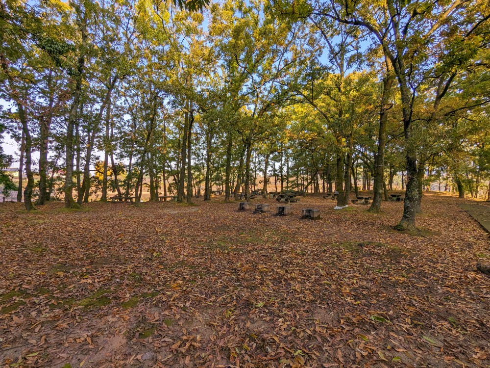 立岡自然公園キャンプ場のフリーサイト