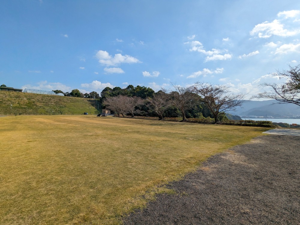 御立岬公園キャンプ場(熊本県芦北町)の星の森フリーサイト