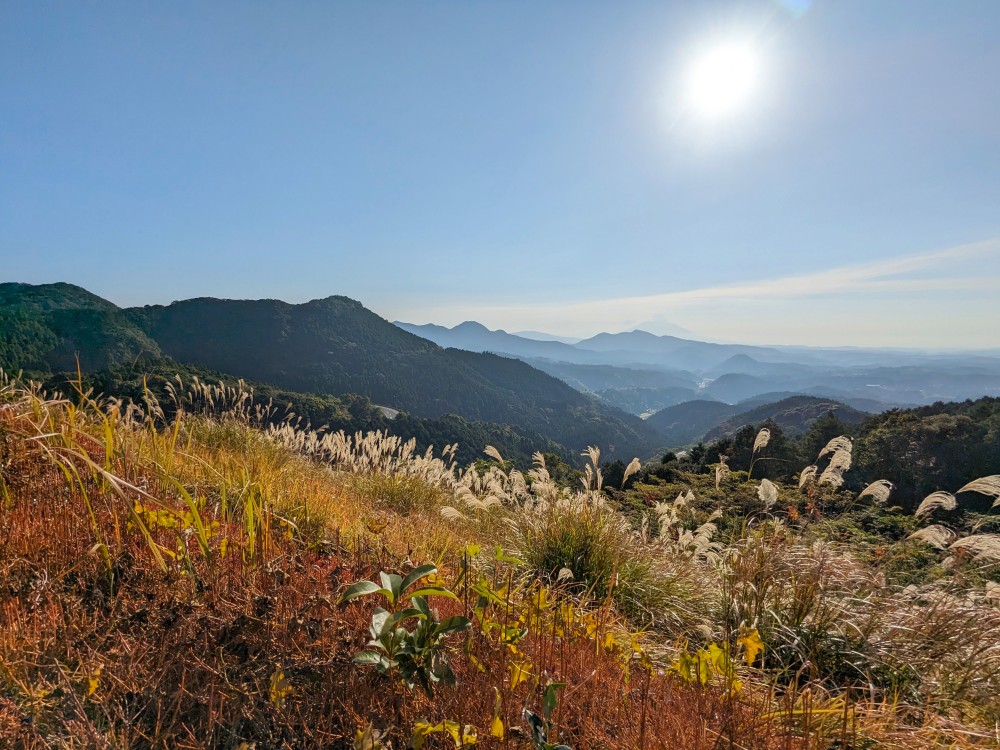 八重山公園キャンプ村のフリーサイトからの眺望