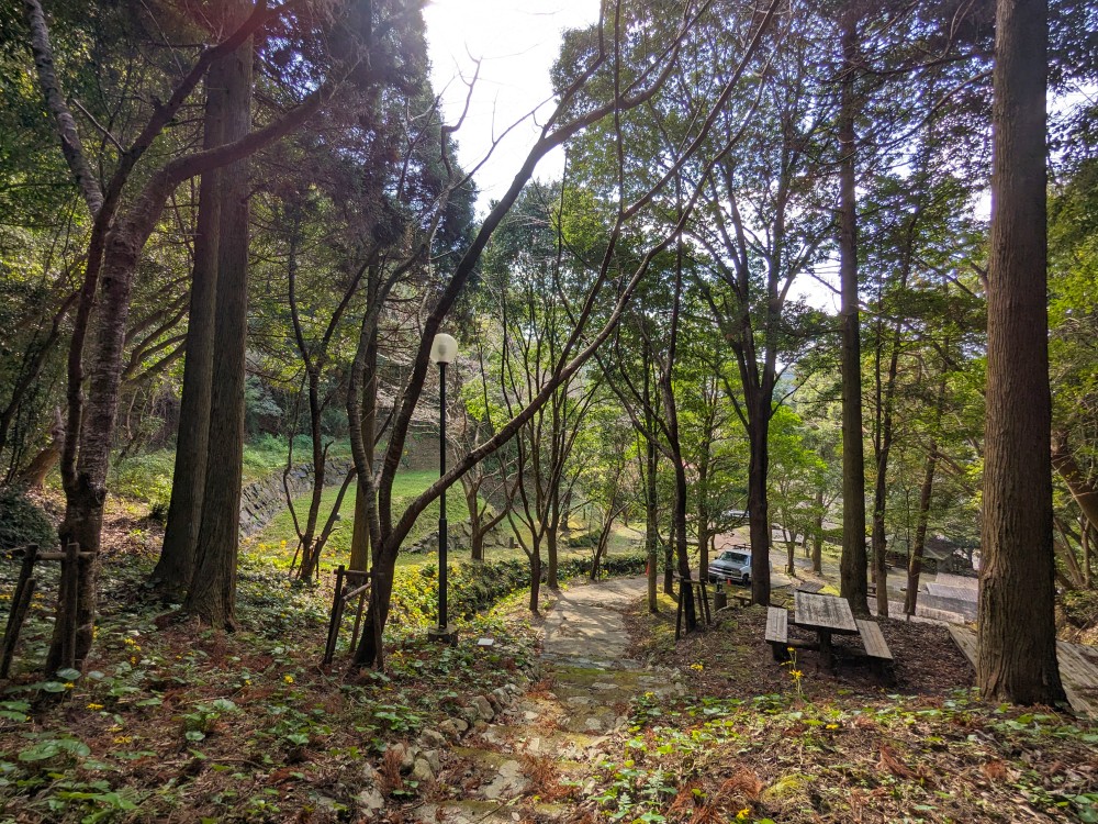 岩屋公園キャンプ場の区画テントサイト