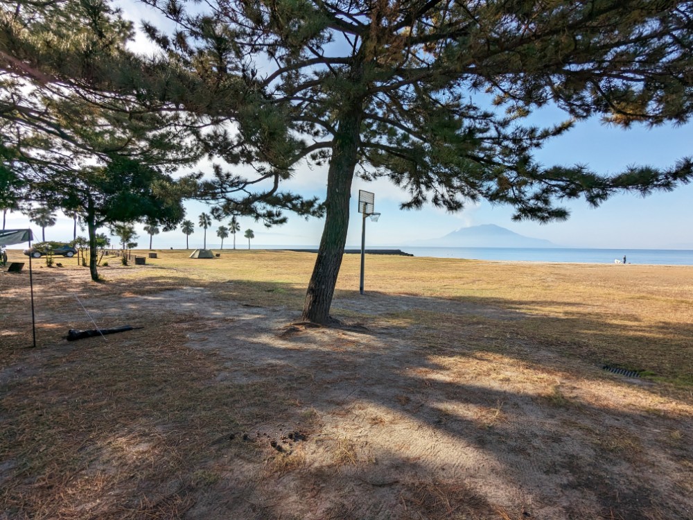 国分キャンプ海水浴場(鹿児島県霧島市)の桜島が見えるフリーサイト