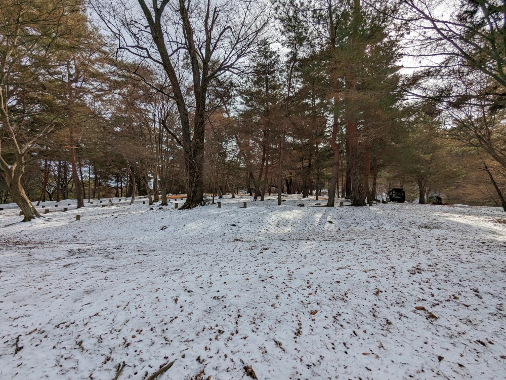 弥高山公園キャンプ場のサツキキャンプ場