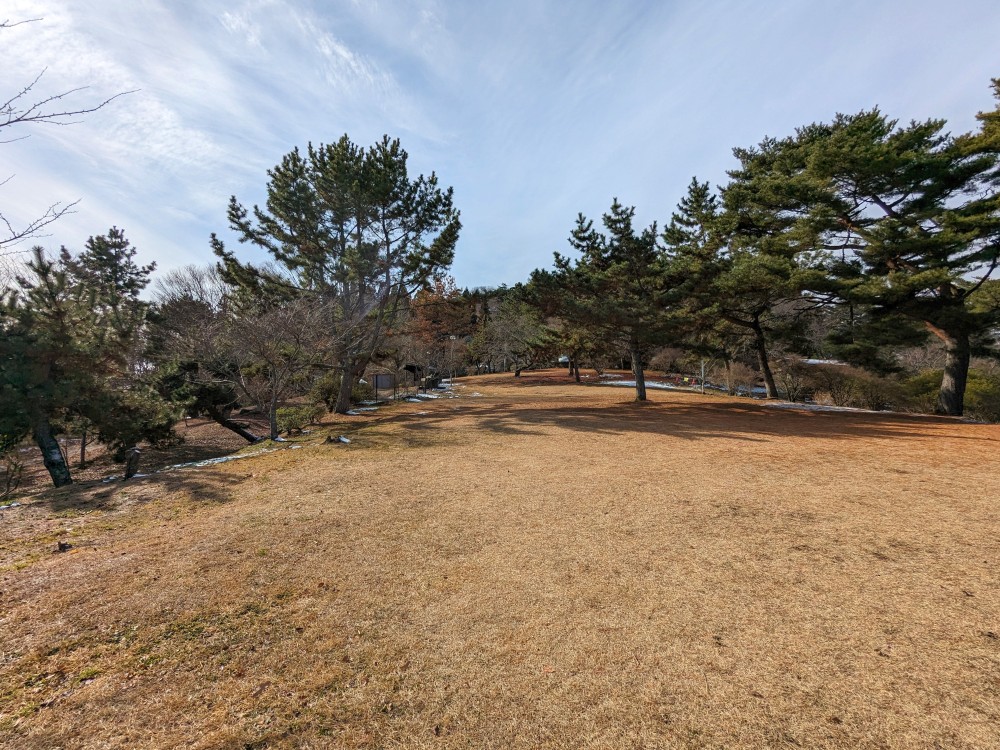 弥高山公園キャンプ場のサクラキャンプ場