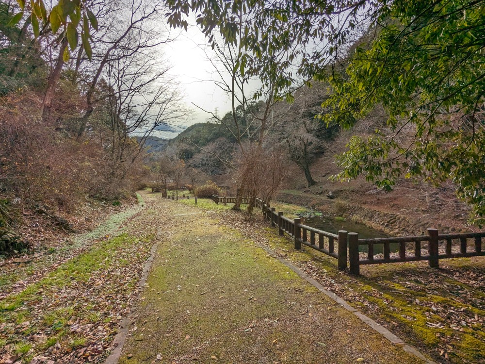 天神峡キャンプ場のテントサイト