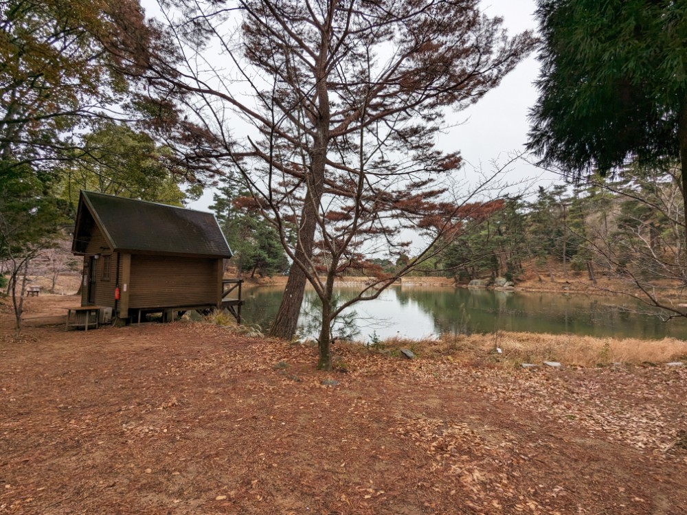 遥照山 藤波池キャンプ場(岡山県浅口市)の小池