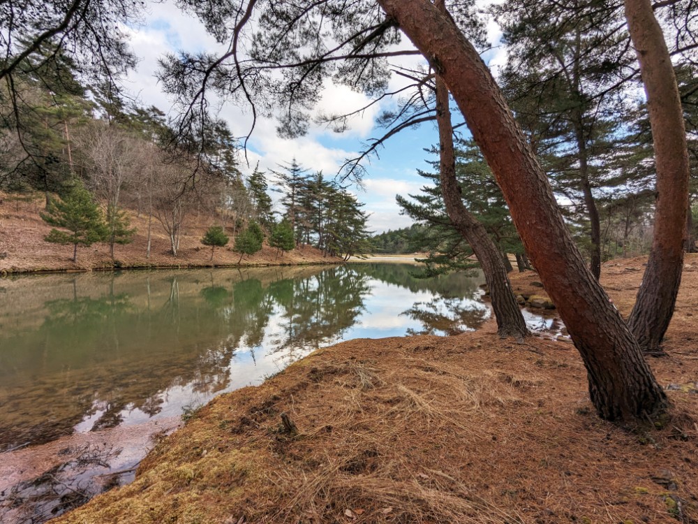 高梁自然公園キャンプ場(岡山県高梁市)の新城池