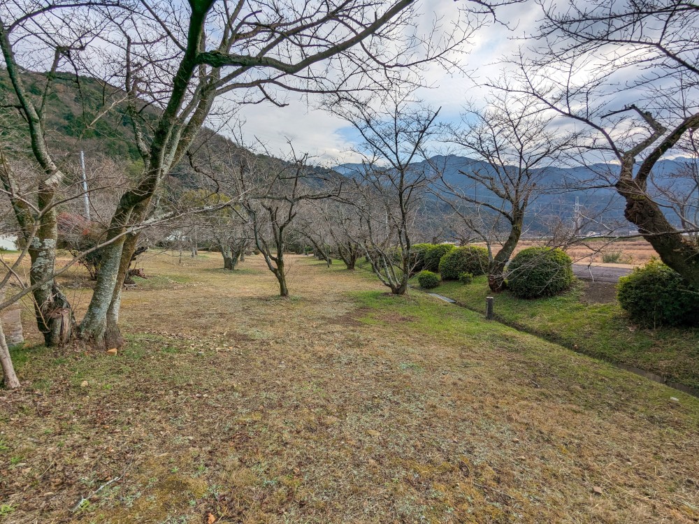 武丈公園の公園サイト