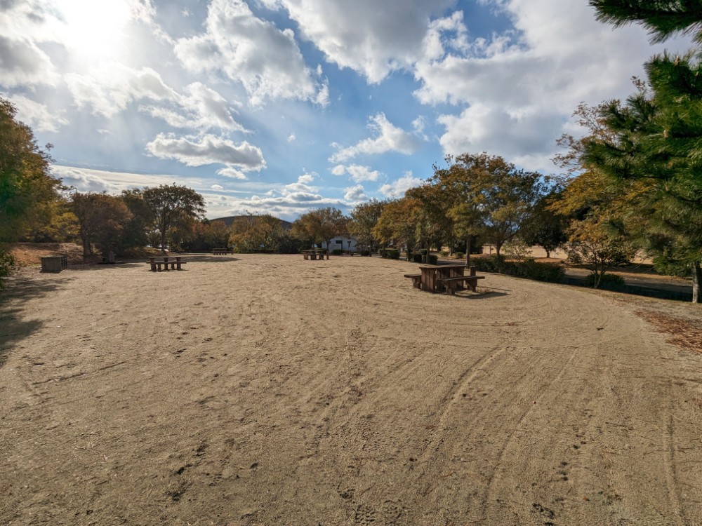 東予運動公園海浜広場(愛媛県西条市)のフリーサイト