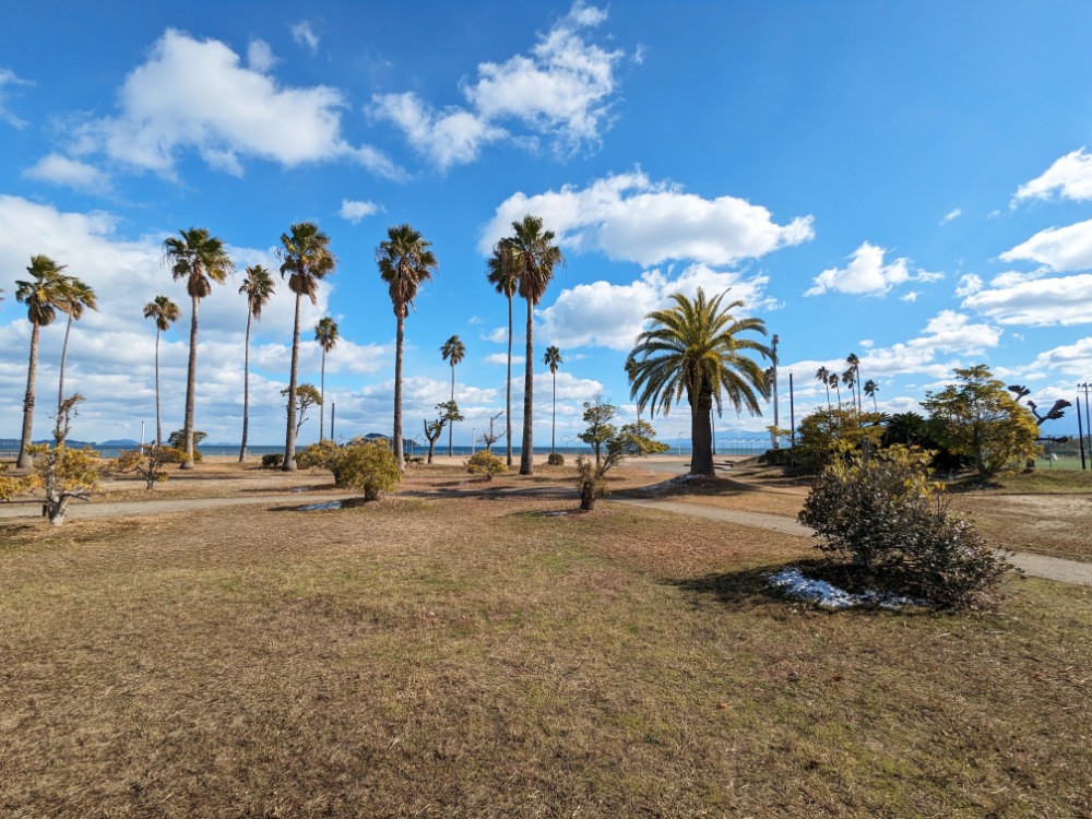 桜井海浜ふれあい広場(愛媛県今治市)の全景