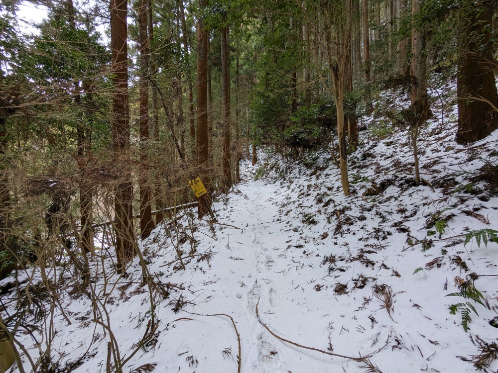 玉川ふれあいの森キャンプ場までの山道