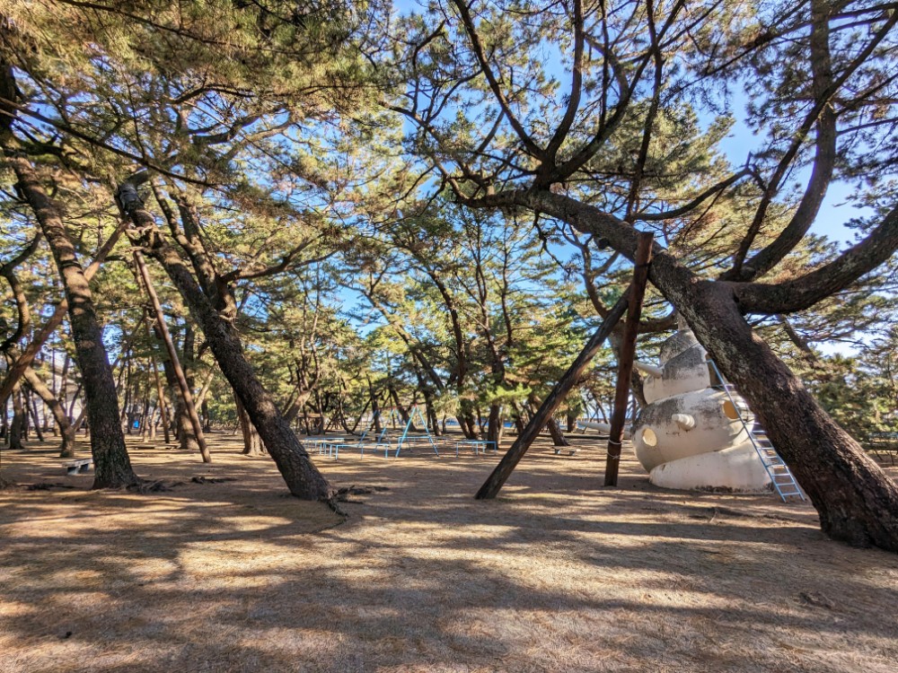 種崎千松公園キャンプ場(高知県高知市)の林間サイト