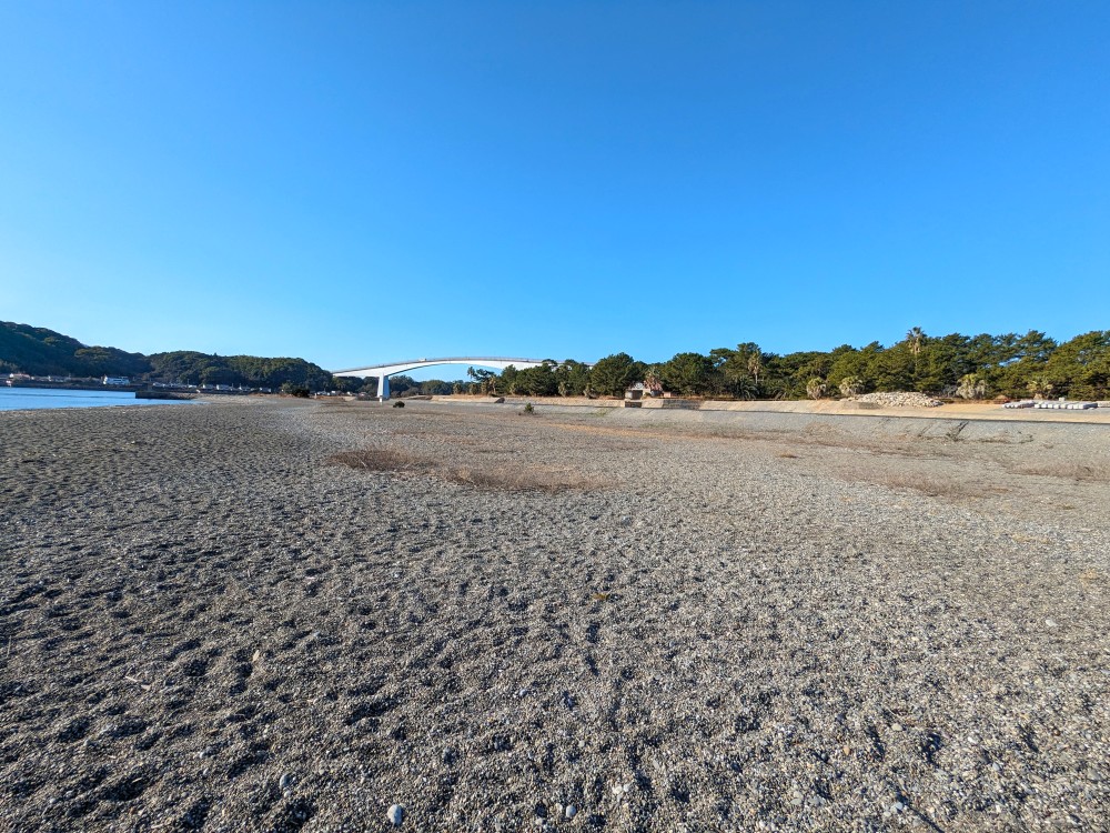 海岸側から見た種崎千松公園キャンプ場