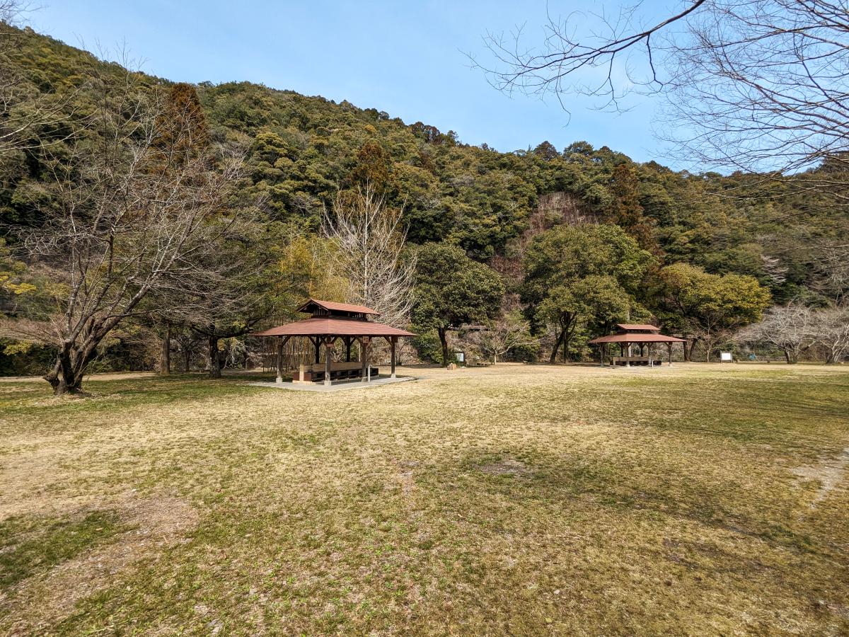 田辺川湯キャンプ場の芝生サイト