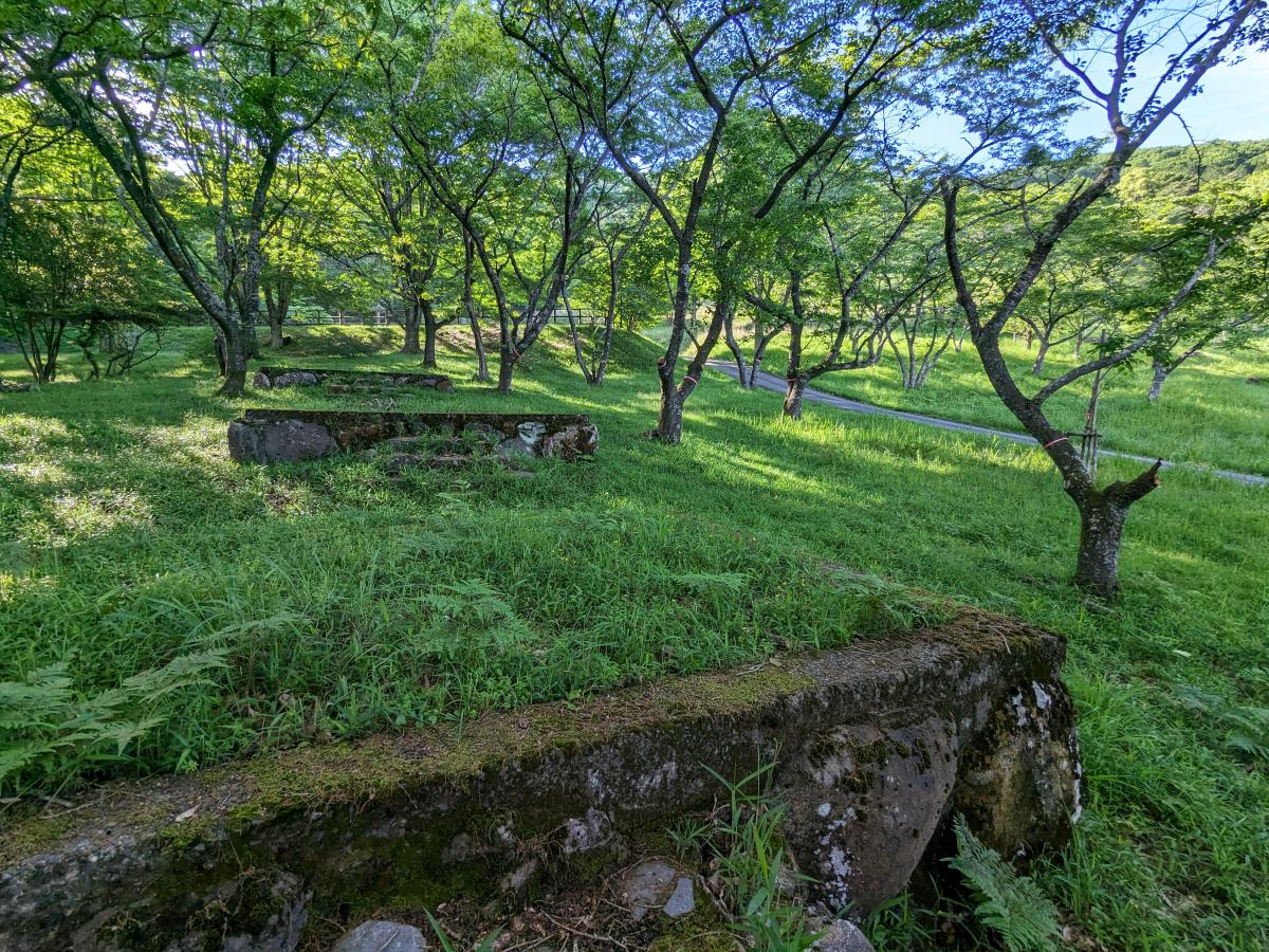 伏木公園キャンプ場の区画サイト