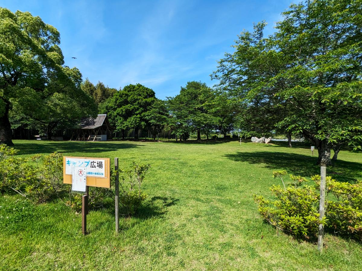 一本松農村公園キャンプ場のフリーサイト