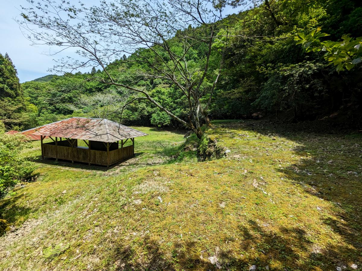 八木山渓流公園キャンプ場(福岡県筑紫野市)のフリーサイト