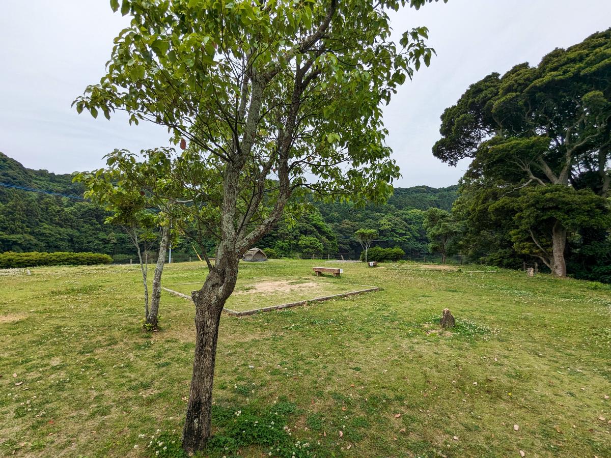 川原大池公園キャンプ場(長崎県長崎市)の区画サイト