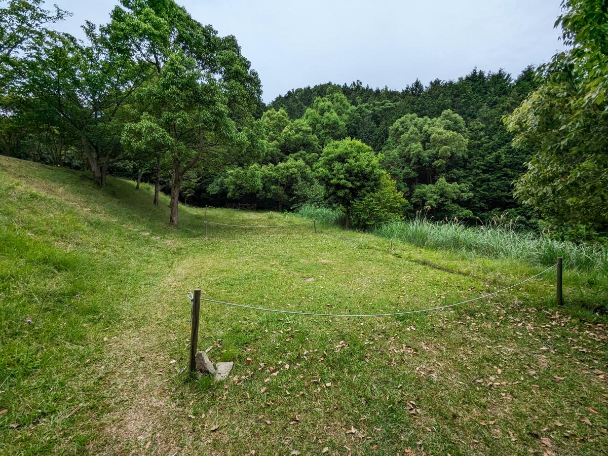 川原大池公園キャンプ場(長崎県長崎市)の区画サイト