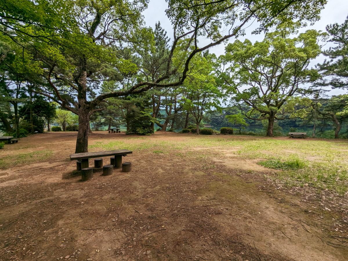 野岳湖公園キャンプ場の湖畔のフリーサイト