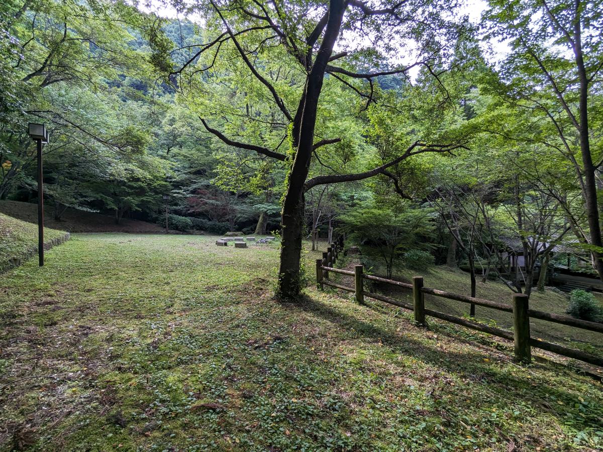 岩屋山渓桜公園の全景