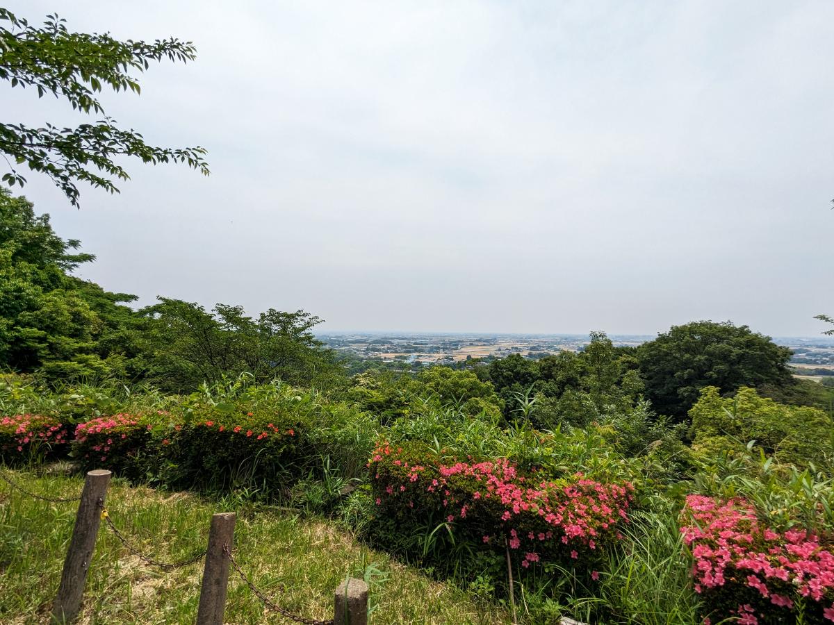 金立教育キャンプ場からの絶景