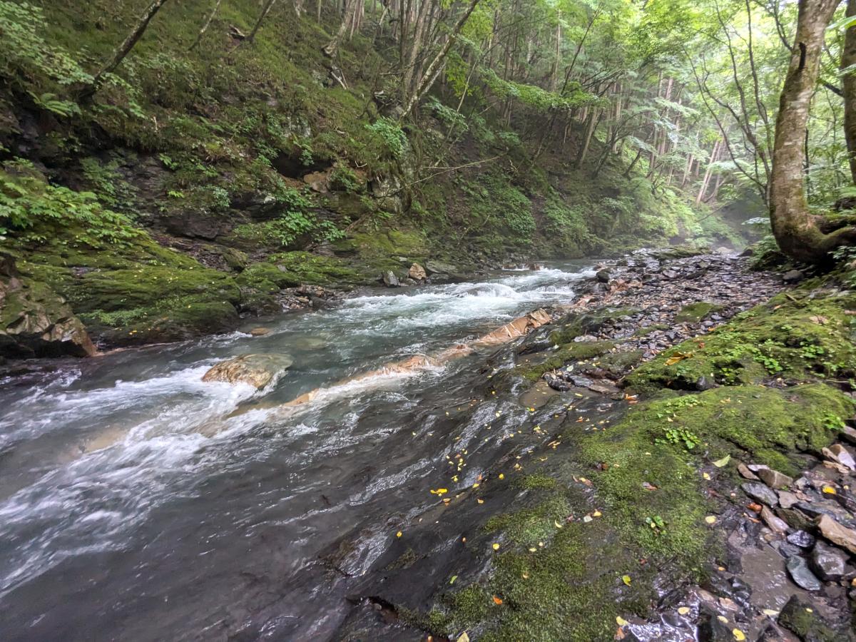 蛇石キャンプ場の前を流れる横川川