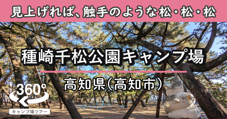 種崎千松公園キャンプ場(高知県高知市)